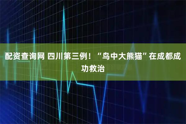 配资查询网 四川第三例！“鸟中大熊猫”在成都成功救治