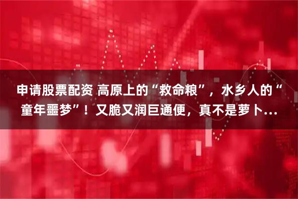 申请股票配资 高原上的“救命粮”，水乡人的“童年噩梦”！又脆又润巨通便，真不是萝卜…